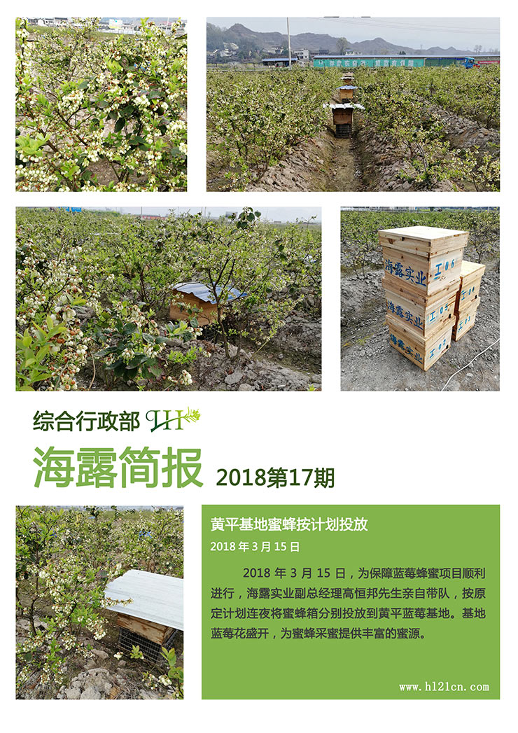 首页| J9集团国际站官方网站
