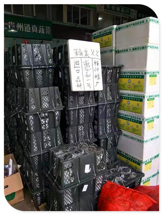首页| J9集团国际站官方网站