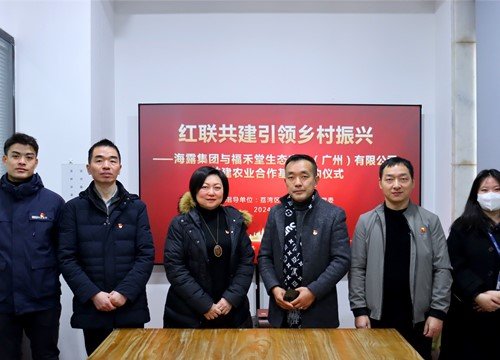 红联共建引领村落振兴，党建促业务深度融合