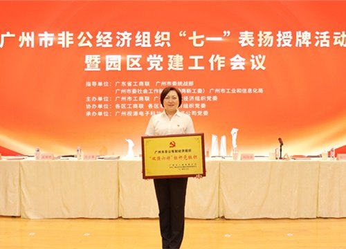 标杆引领，荣誉升级！集团党支部荣膺广州市非公有造经济组织“双强六好”标