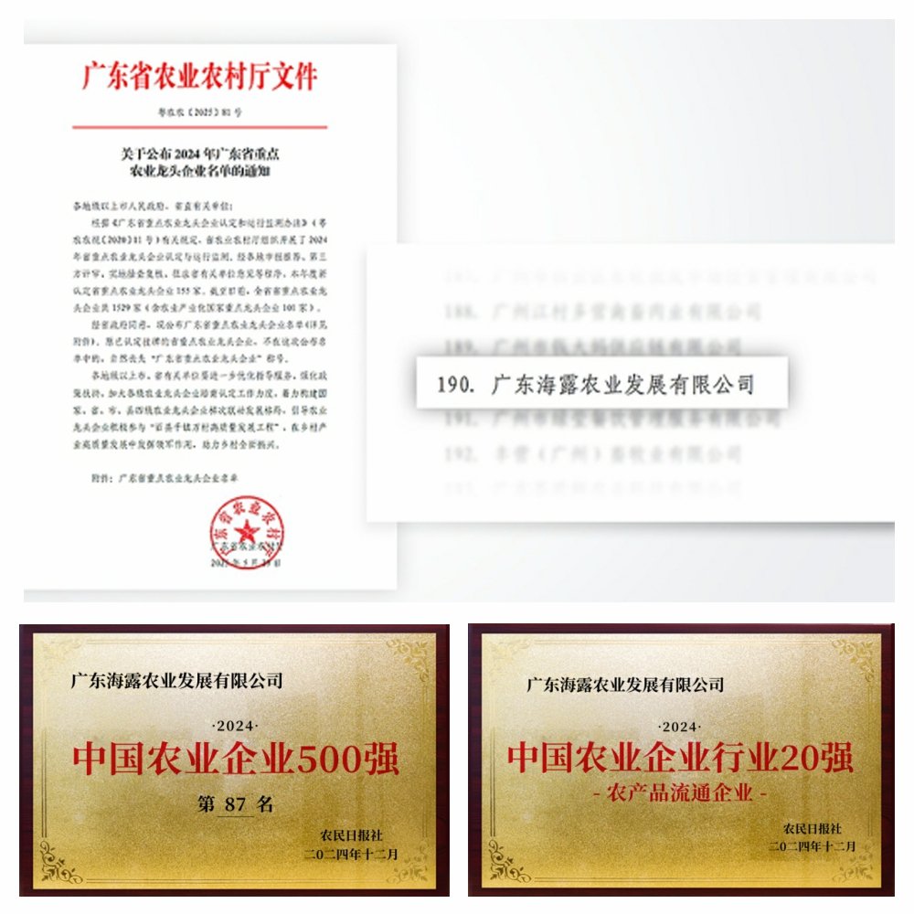 1-2506051411103H 首页| J9集团国际站官方网站