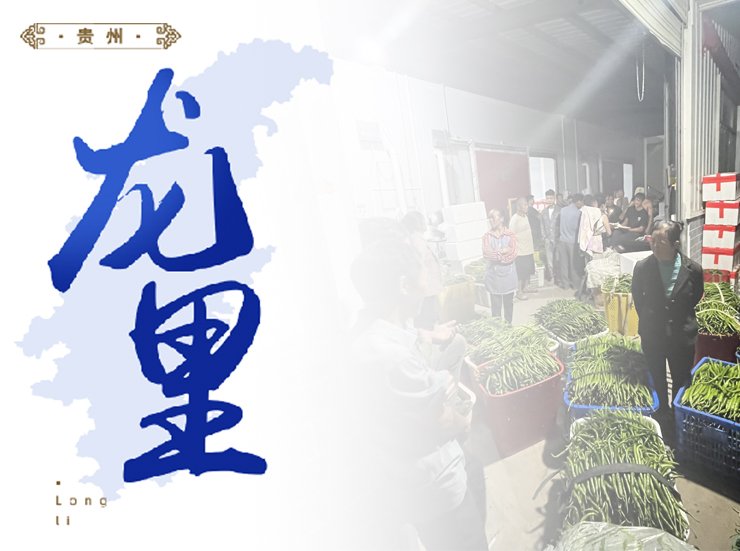 首页| J9集团国际站官方网站